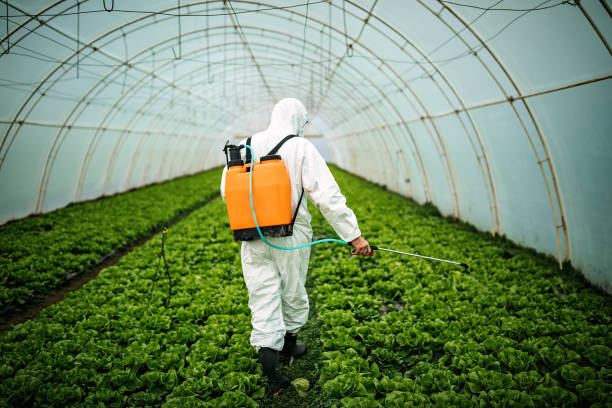 Best Best Pest Control Companies  in Crafton, PA