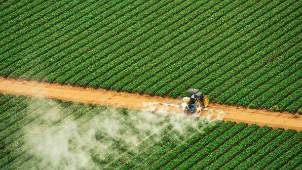 Best Ant Control Services  in Crafton, PA