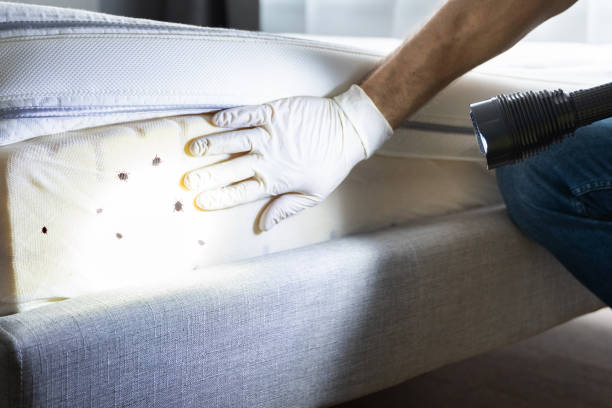 Best Affordable Pest Control Services  in Crafton, PA